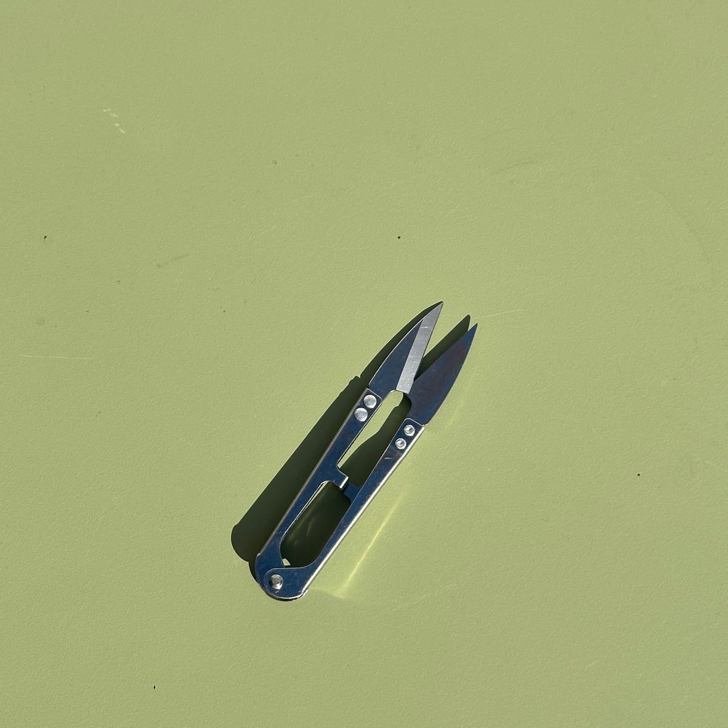 Stainless Steel Pruning Snips for Plants and Foilage