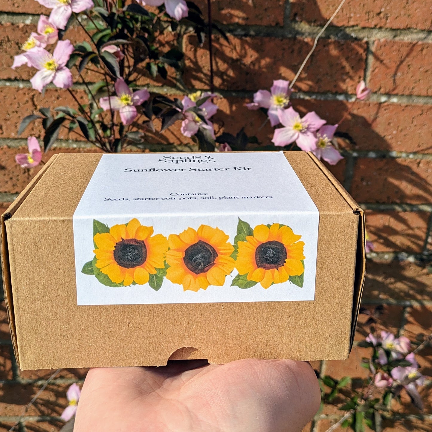 Sunflower Starter Kit Gift Box