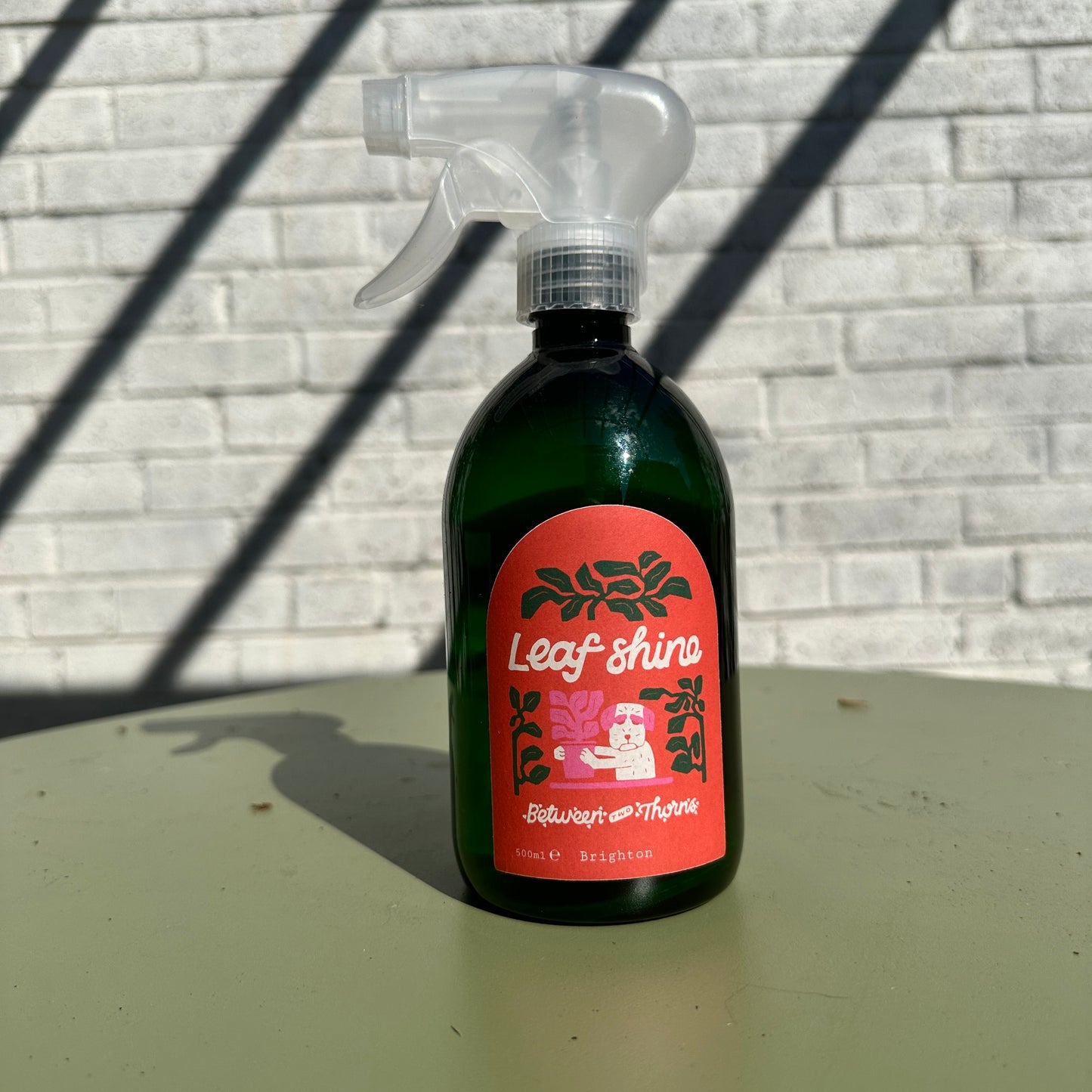 All-Natural House Plant Leaf Shine