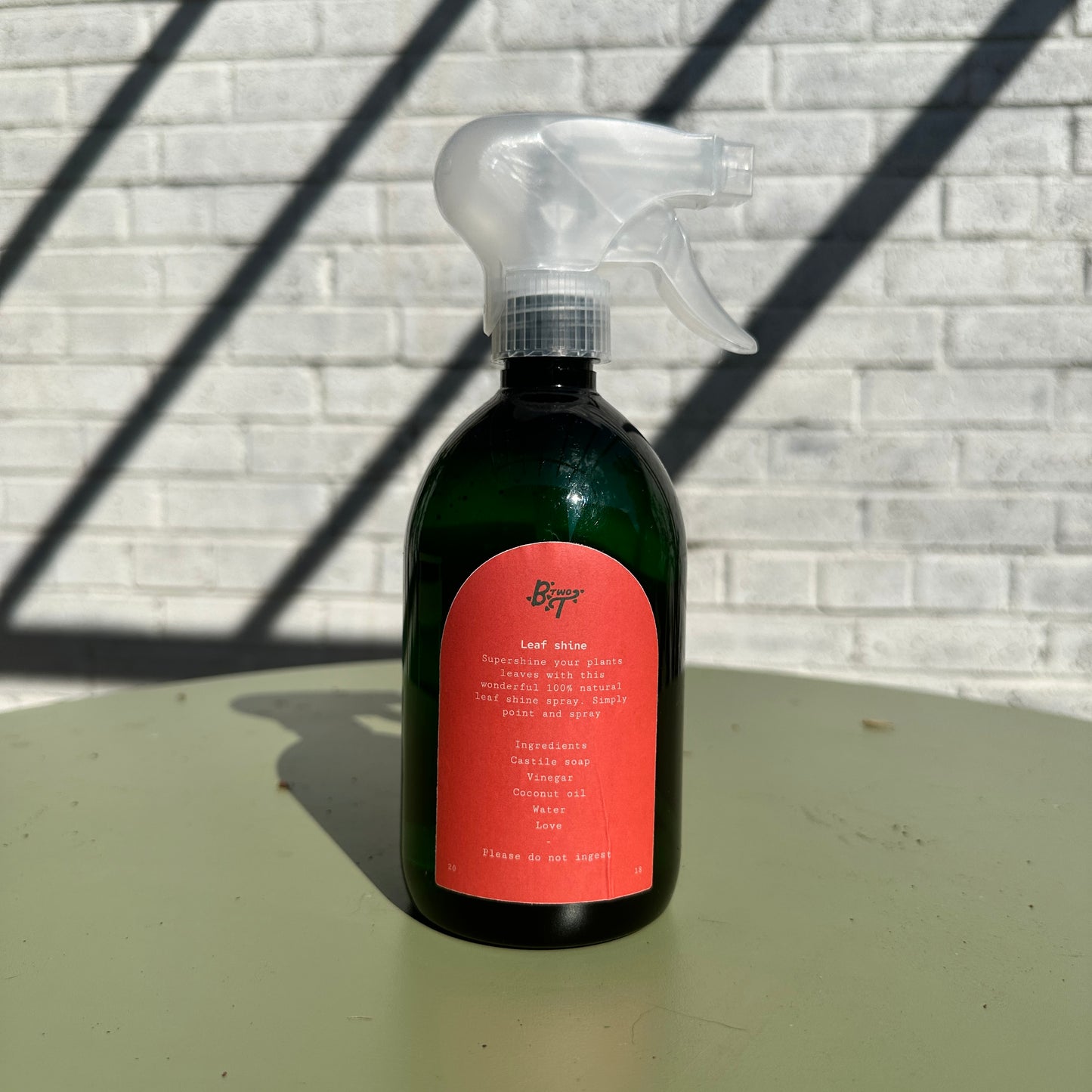 All-Natural House Plant Leaf Shine