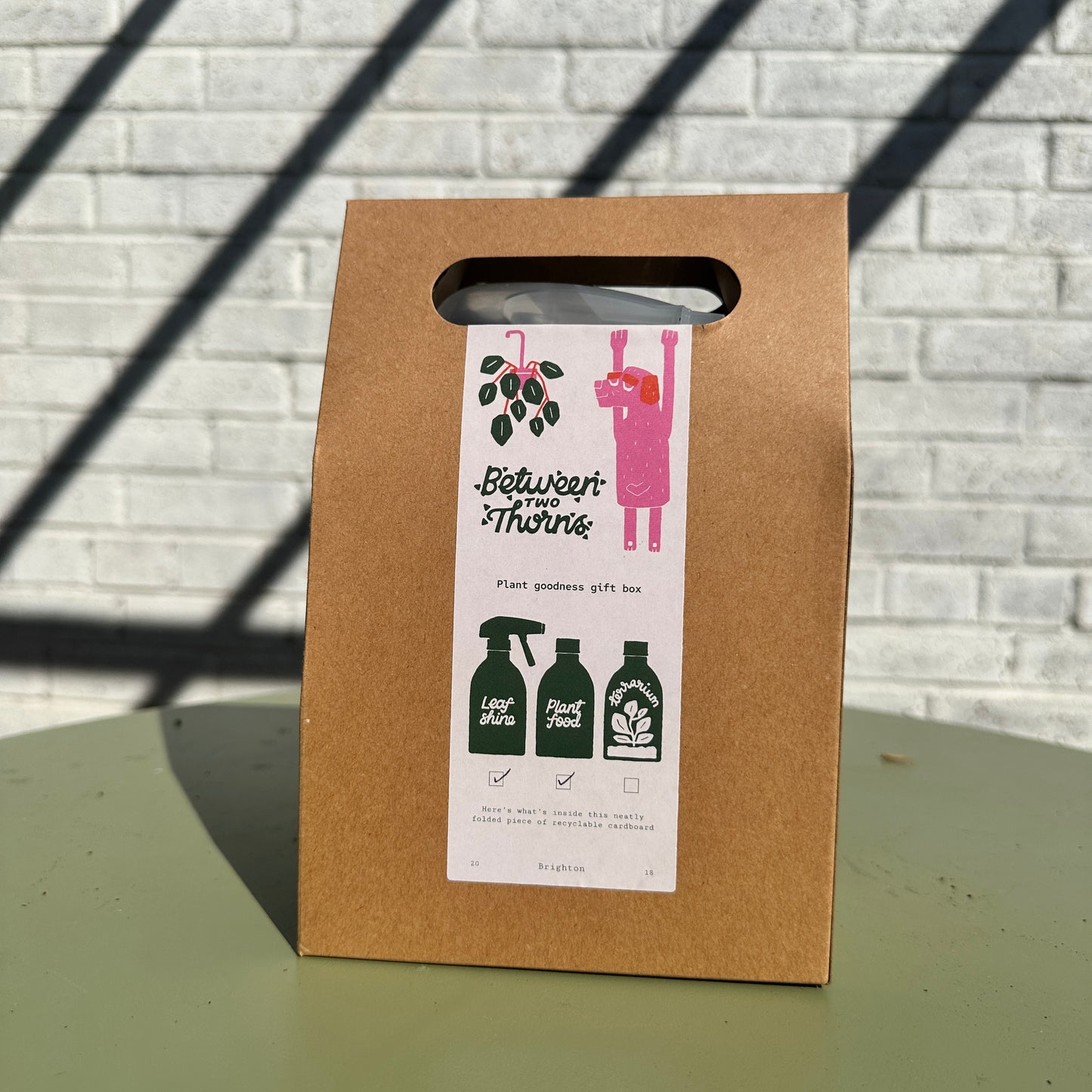 Plant Goodness Giftbox - Seaweed Plant Food & Leaf Shine