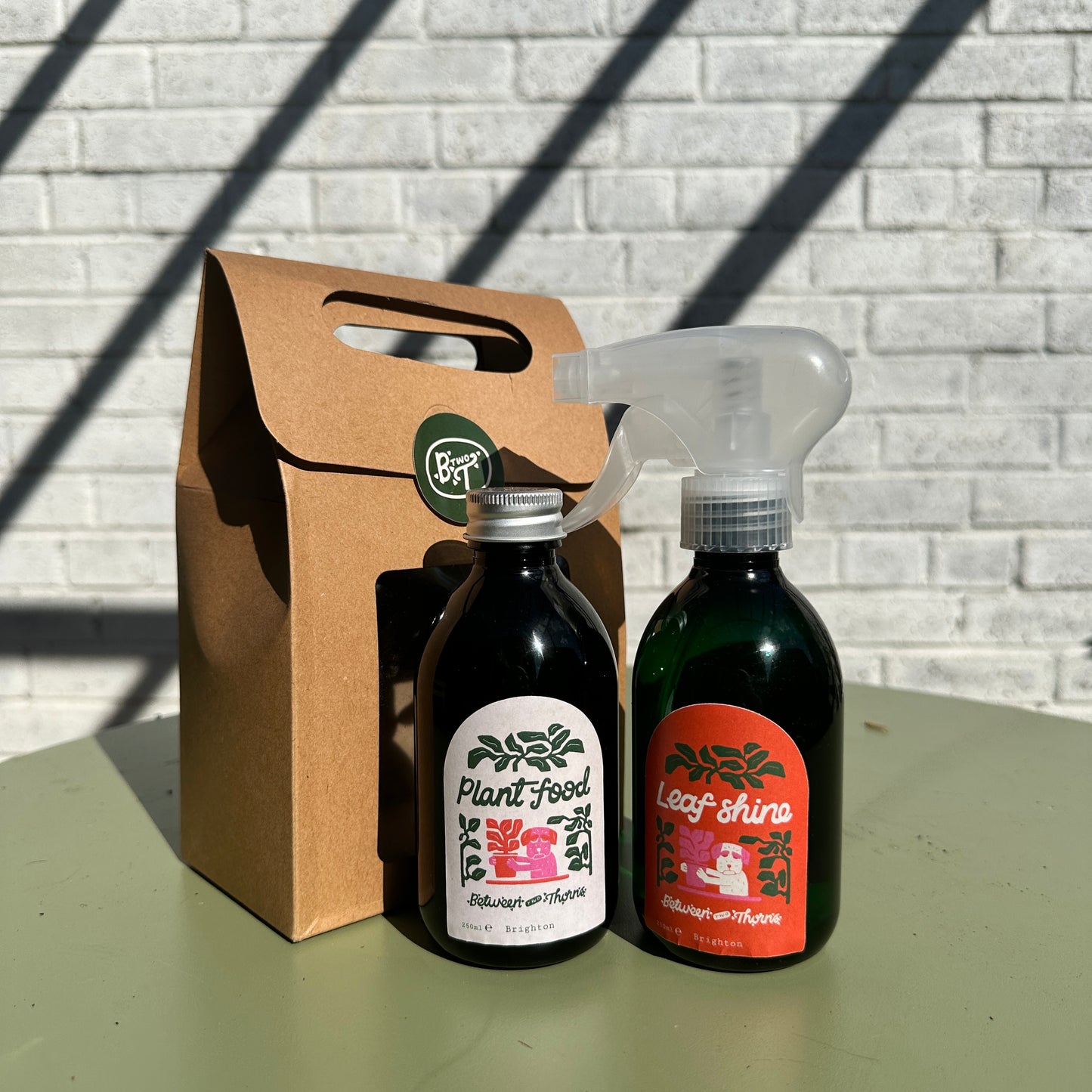 Plant Goodness Giftbox - Seaweed Plant Food & Leaf Shine