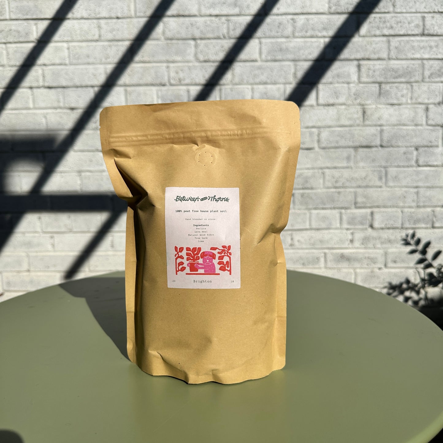 Peat-Free Houseplant Soil