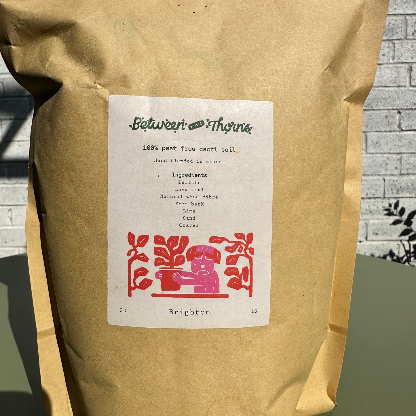 Premium Cacti and Succulent Potting Mix