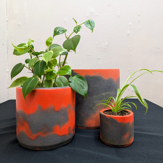 The picture shows a trio of grey and orange marbled concrete plant pots. The small has a baby spider plant, medium a peperomia and the large is empty.