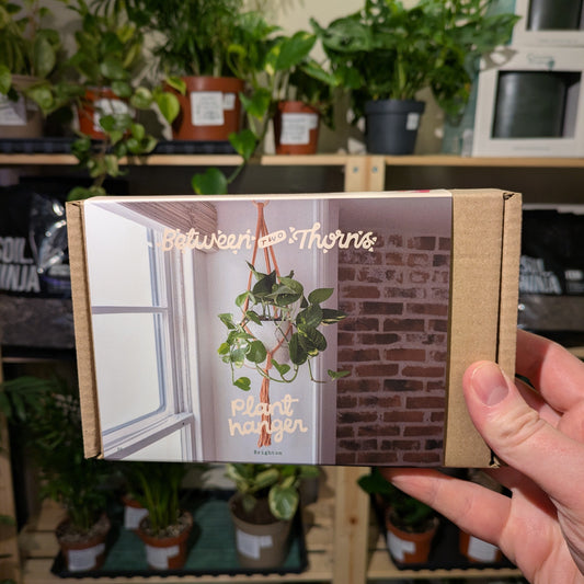 Macrame Plant Hanger