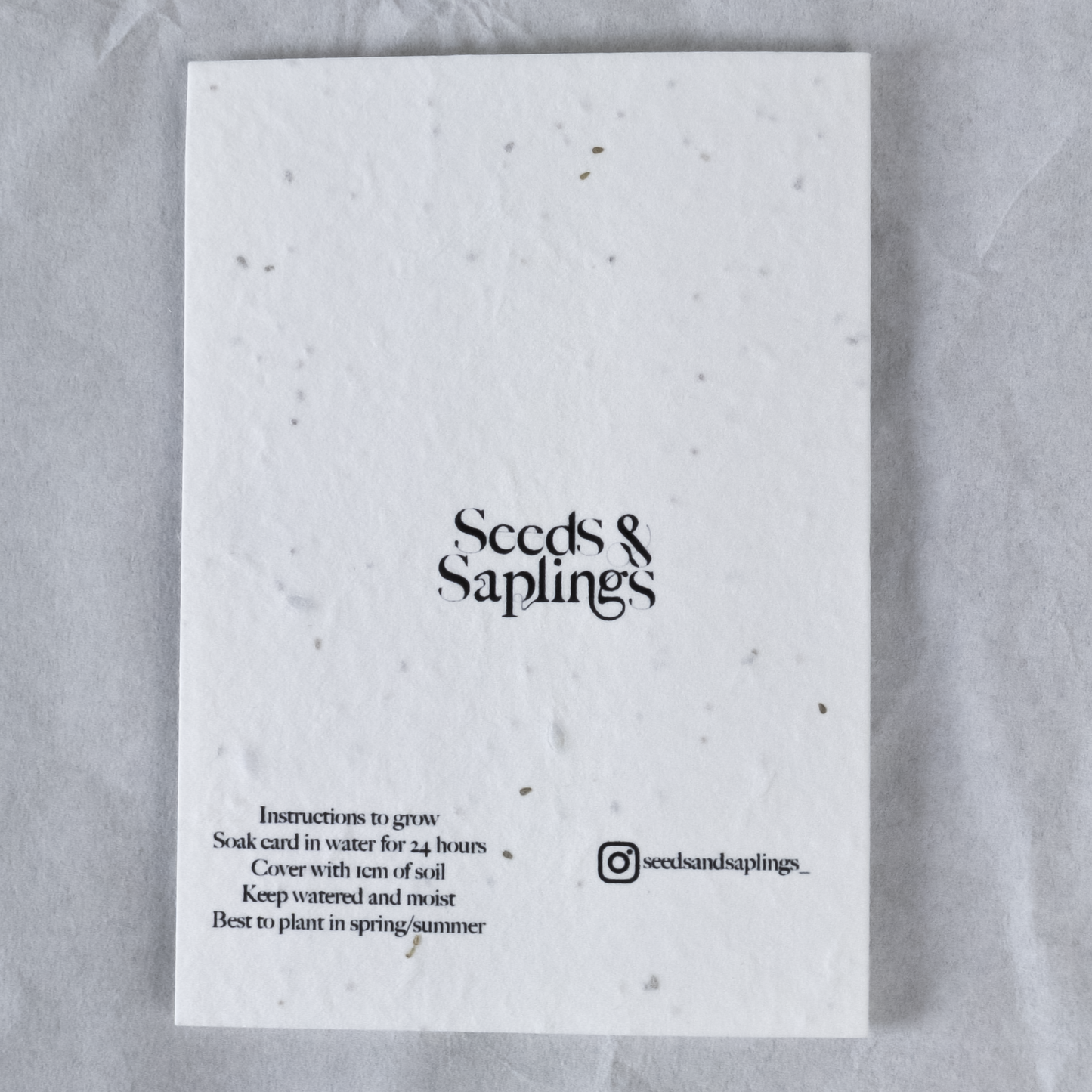 Eco-Friendly Kitchen Herb Greetings Card on Biodegradable Paper