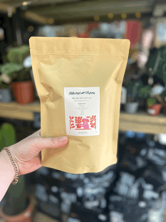 Peat- Free Houseplant Soil With Substrates