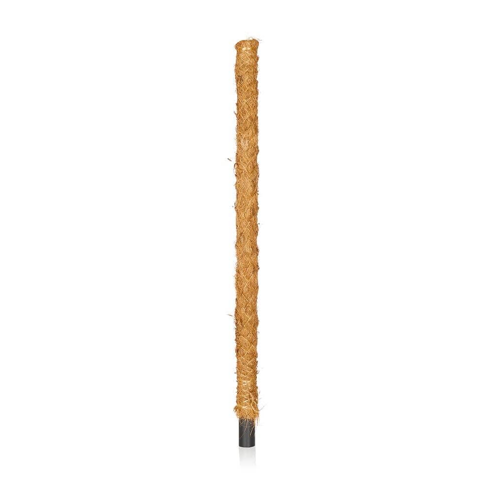 Moss Pole For Climbing Plants
