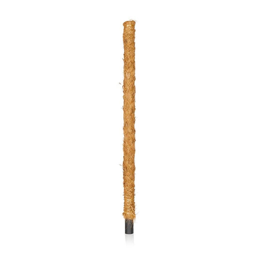 Moss Pole For Climbing Plants
