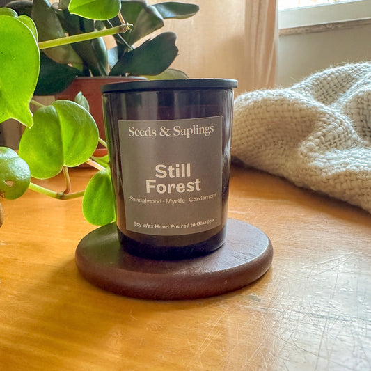 Still Forest Hand Poured Candle 9cl