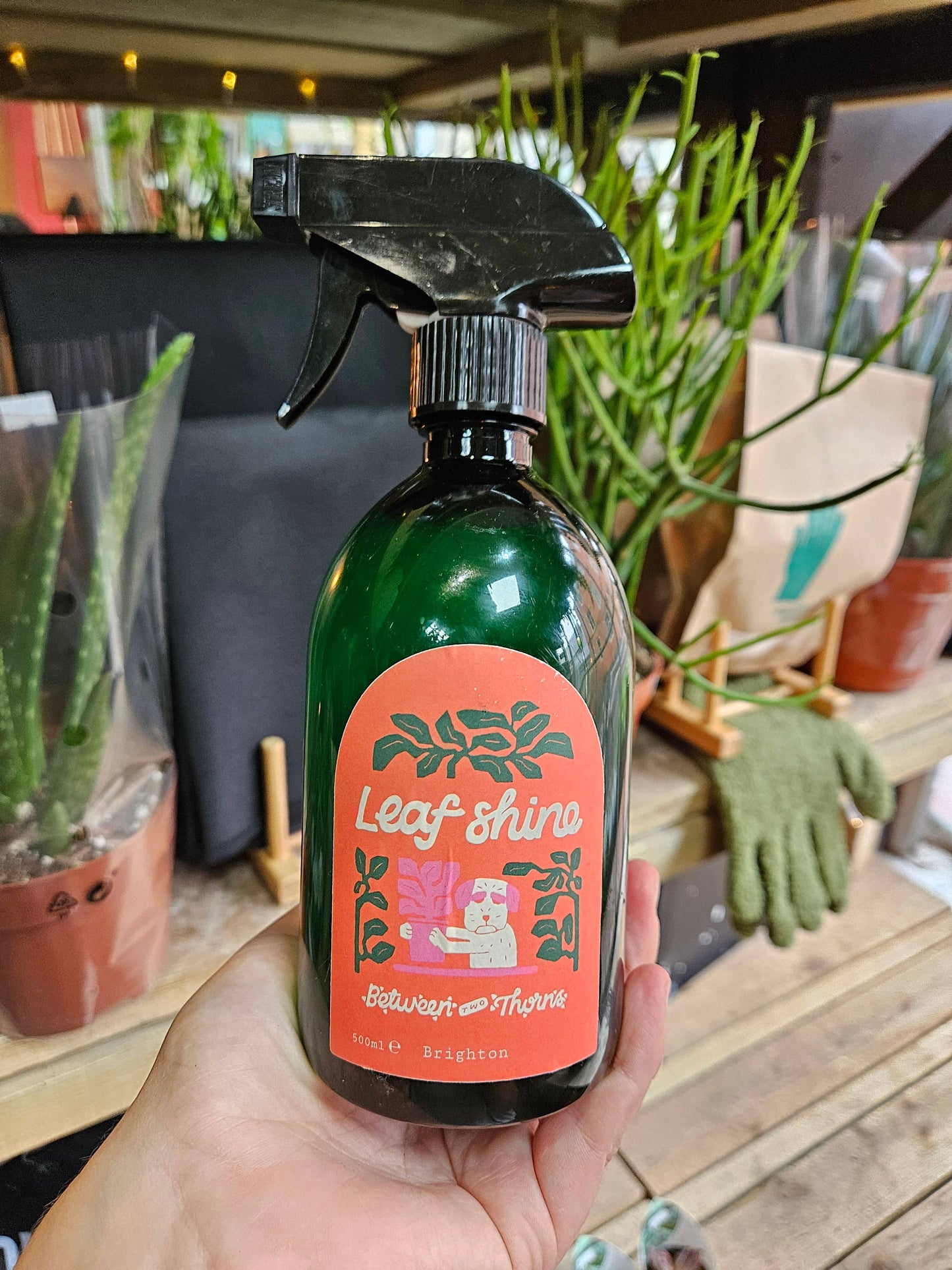 All-Natural Plant Leaf Shine