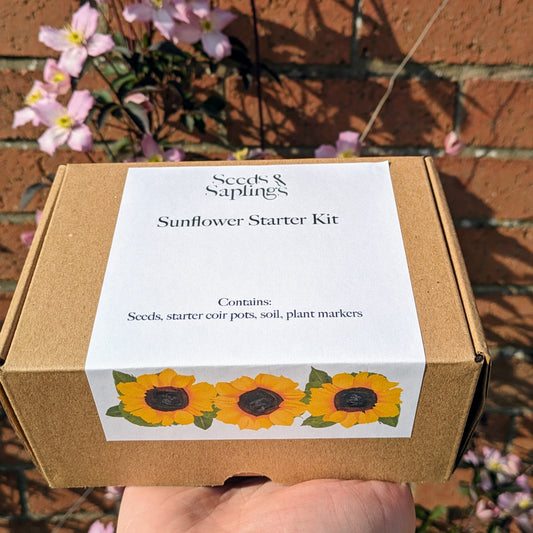 Sunflower Starter Kit Gift Box