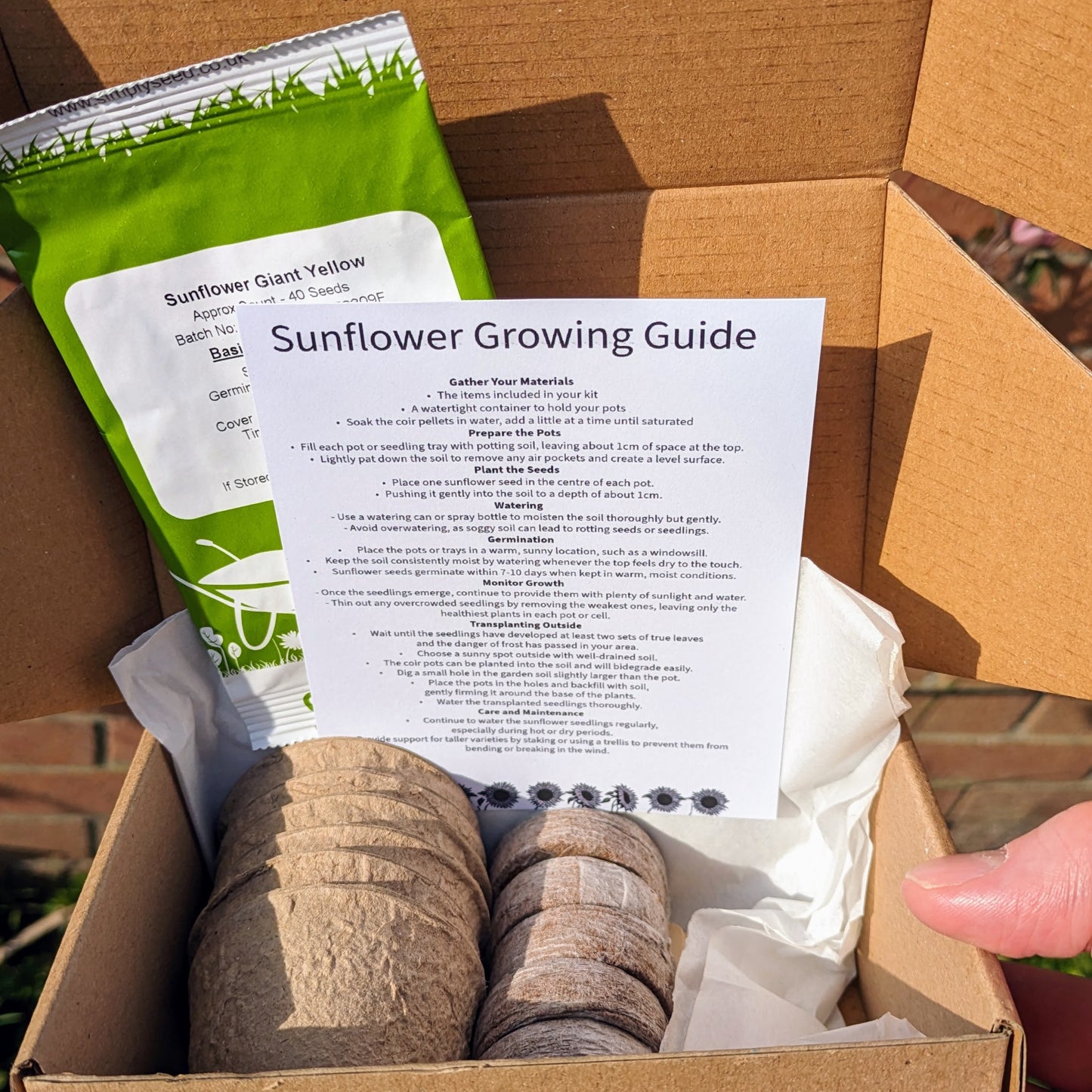 Sunflower Starter Kit Gift Box