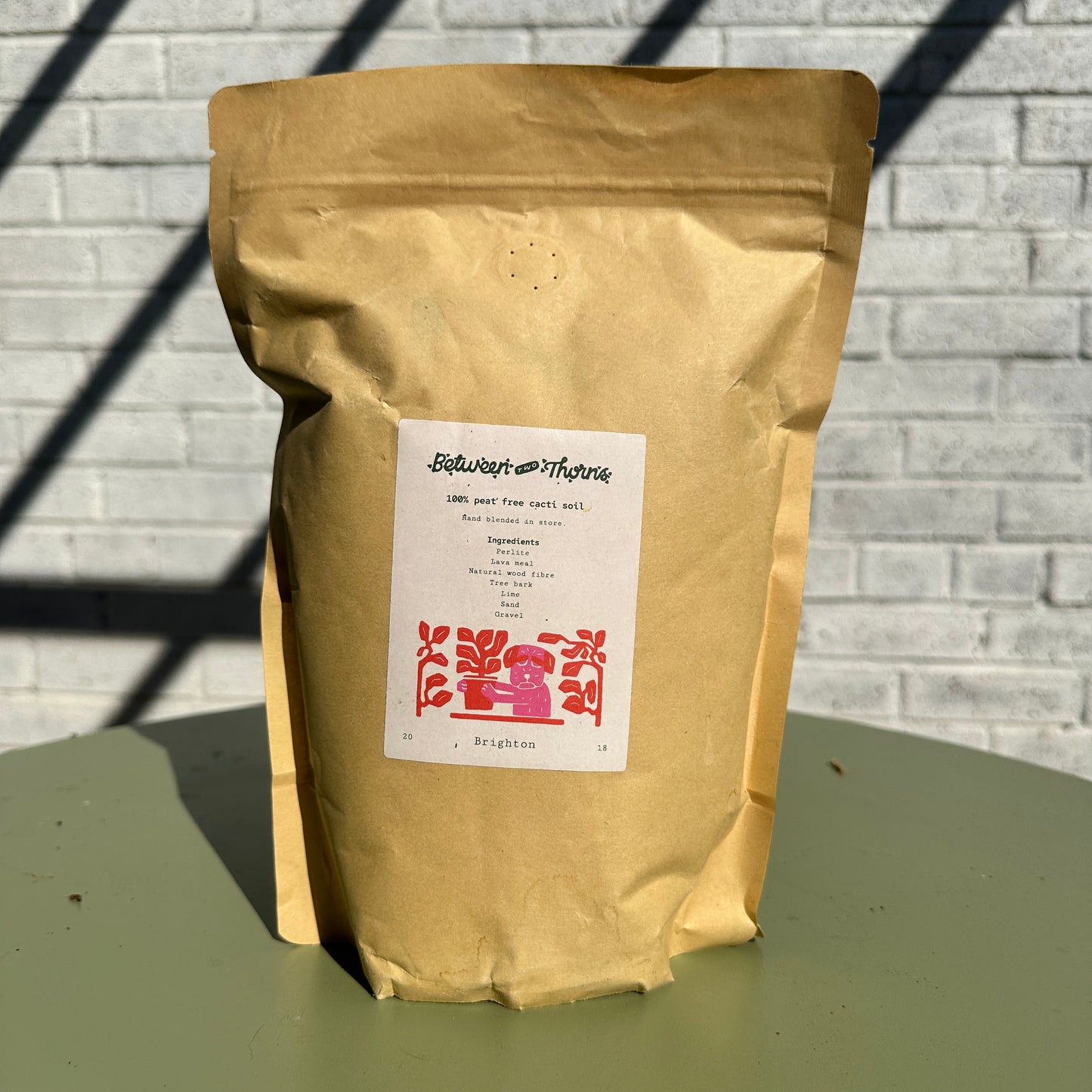 Premium Cacti and Succulent Potting Mix