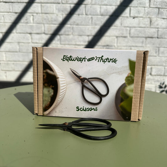 Precision Pruning Bonsai Scissors