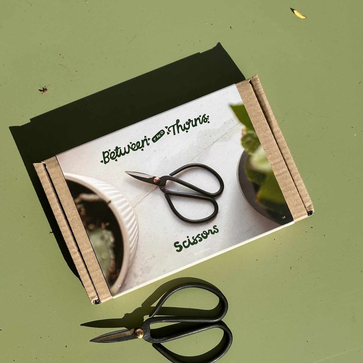 Precision Pruning Bonsai Scissors