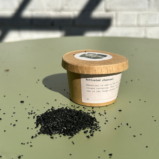 Activated Charcoal for Houseplants & Terrariums