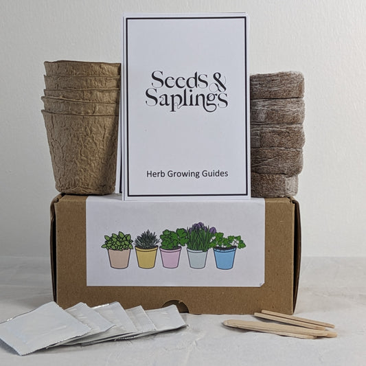 Kitchen Herb Gift Box