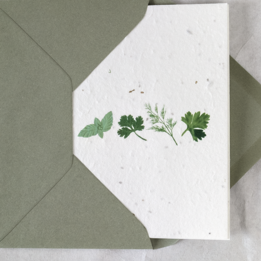 Eco-Friendly Kitchen Herb Greetings Card on Biodegradable Paper