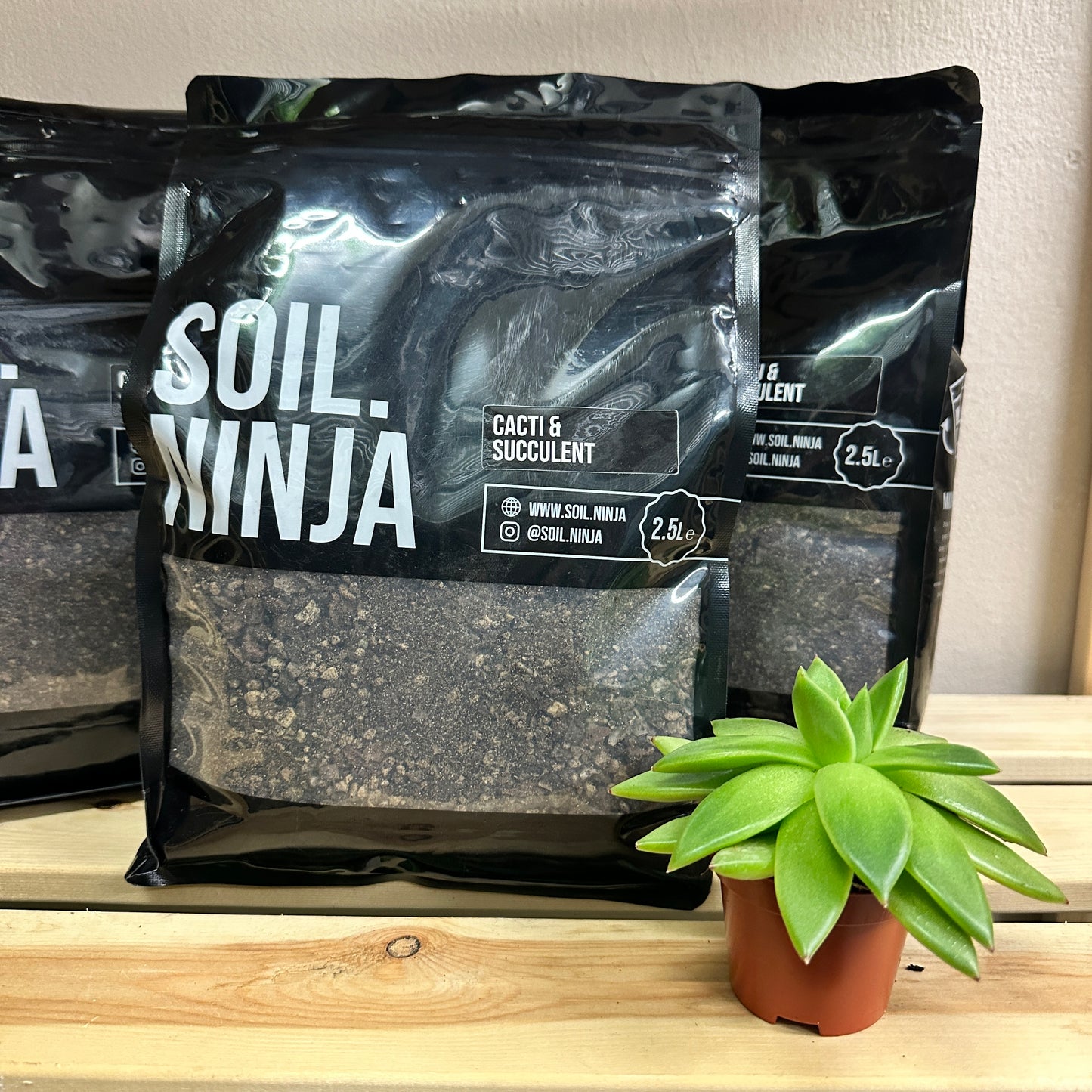 Soil Ninja Premium Cacti & Succulent Soil (2.5L)