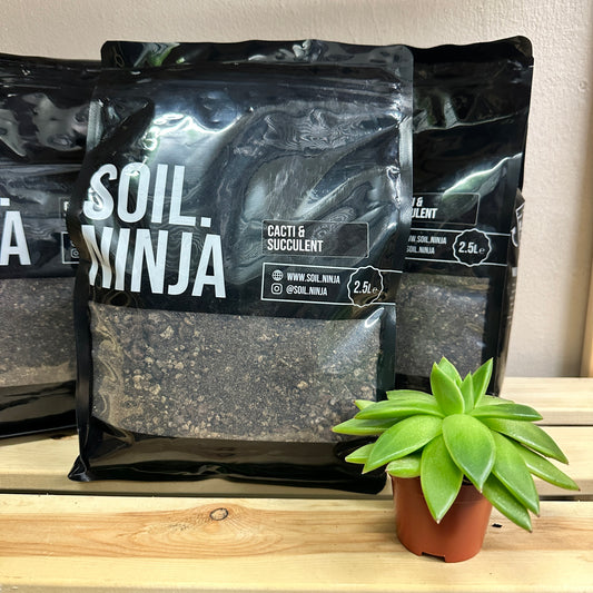 Soil Ninja Premium Cacti & Succulent Soil (2.5L)